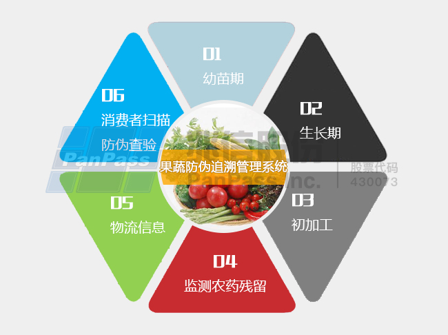 澳门管家婆一码一肖——产品释义解释与落实