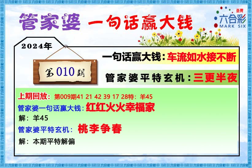 解析管家婆必开一肖与精良释义解释落实的智慧