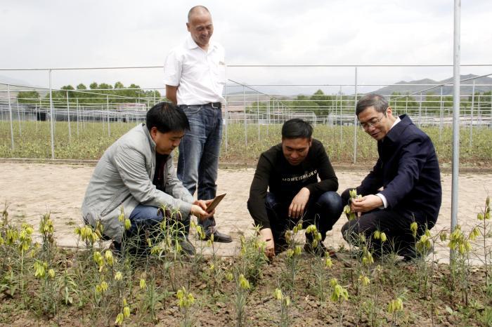 澳门正版资料免费大全，新闻最新动态与度研释义下的落实行动