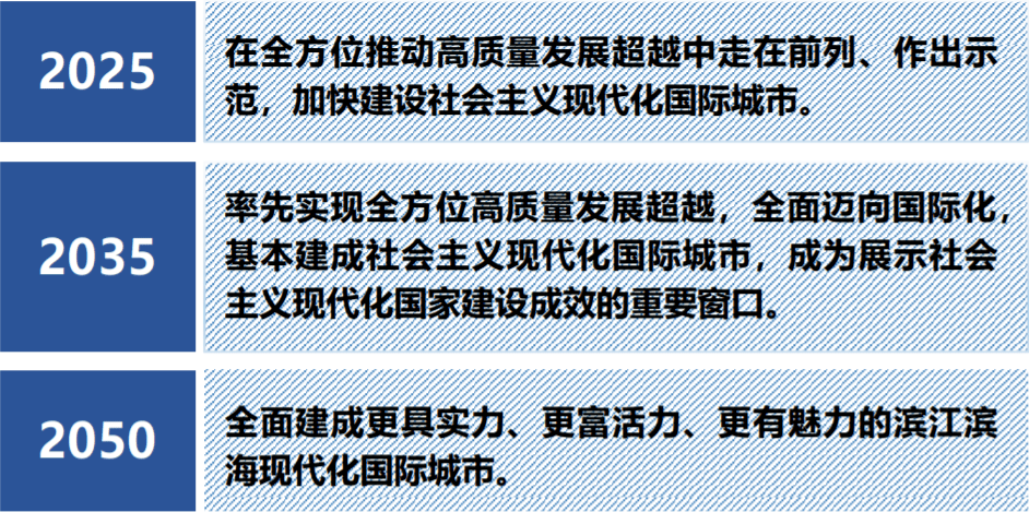 迈向2025，正版资料免费公开，释义解释落实的愿景与挑战