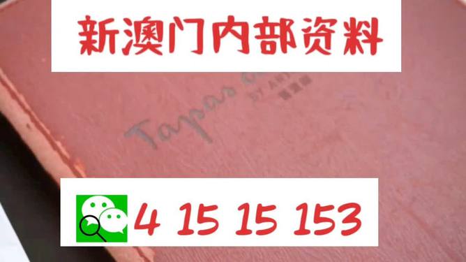 新澳门资料免费精准，释义解释与落实的重要性