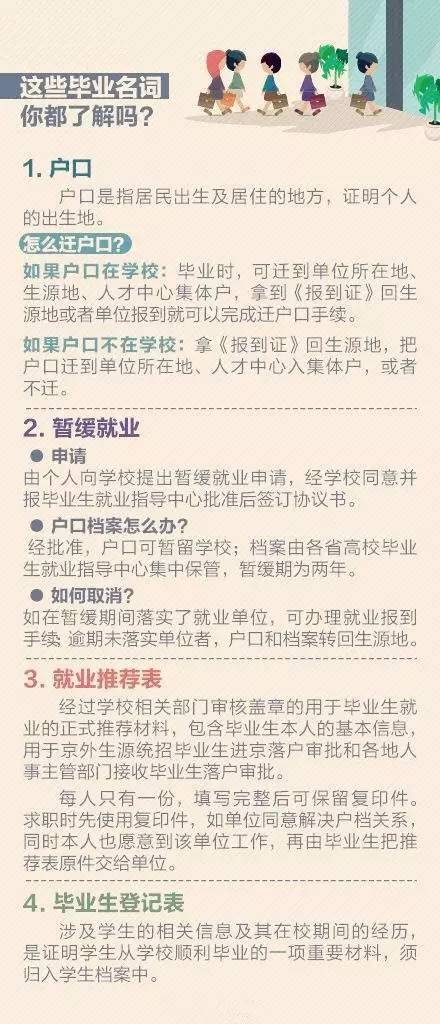 澳门正版资料大全与领域释义的落实，免费歇后语下载的重要性及其影响