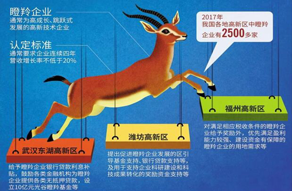 今期四不像图解读，政企合作的新释义与实践落实