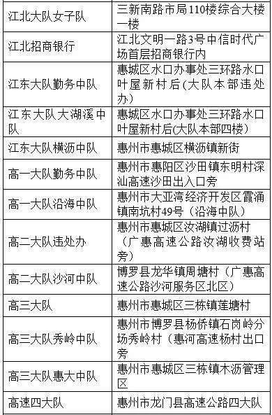 金龙彩资料版，网络释义解释落实的重要性与价值