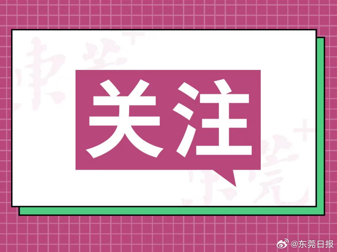 一肖一码免费，专职释义解释与公开落实的重要性