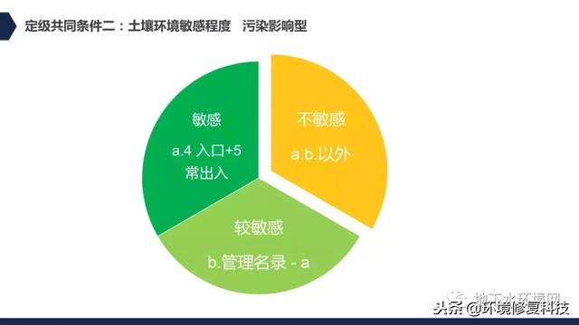 三码中特的资料与机智释义，落实的关键解析