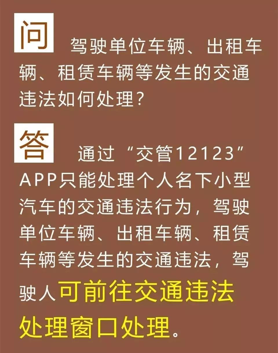 探索新澳资料大全，2025最新版本亮点与力分释义的落实之路