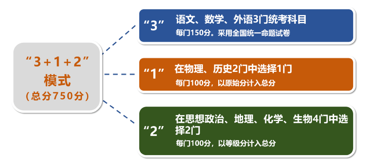 关于一肖一码一中在快速释义解释落实中的展望与解析（2025年）