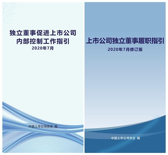 精准一肖一码一子一中，诚实释义解释落实的重要性