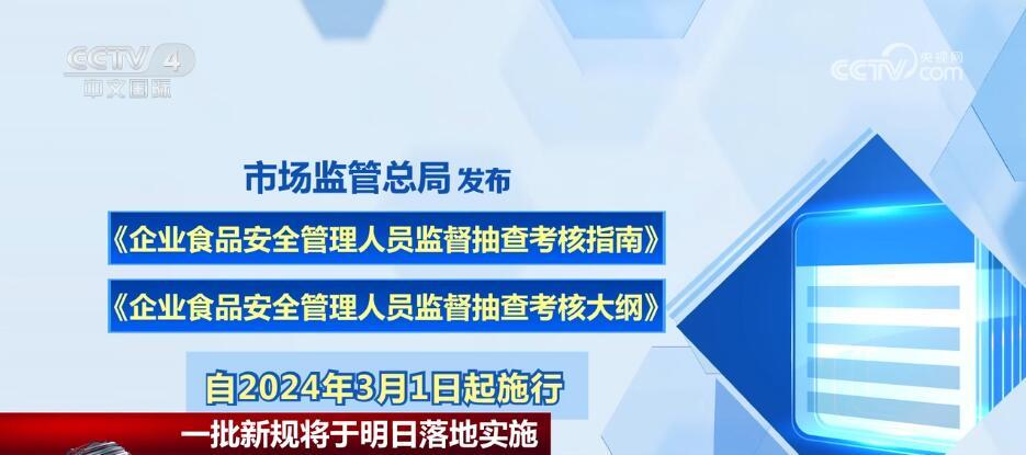 澳门正版资料大全，解读管家婆资料与判断释义的落实策略