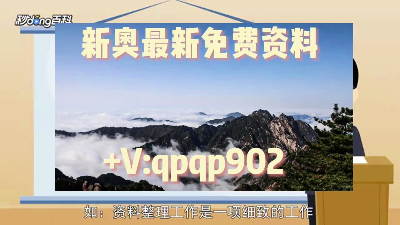 探索4949免费正版资料大全，实时释义解释与落实的重要性