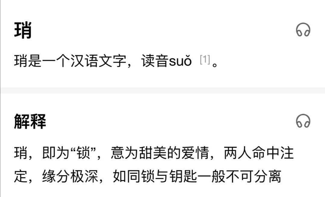 白小姐一码一肖中特一肖，循环释义、解释与落实的探讨