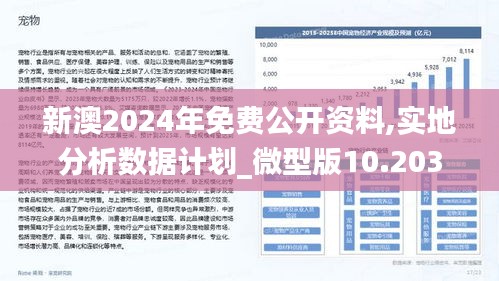 新澳2025年精准资料33期，闪电释义、解释与落实