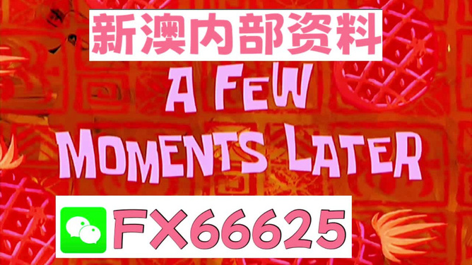 新澳内部资料精准大全与权势释义解释落实深度探讨