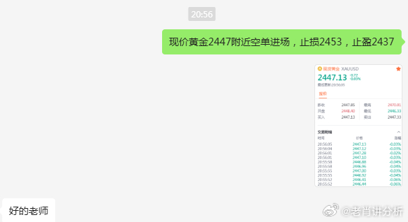 盛大释义下的澳门今晚一肖一码，深度解析与落实