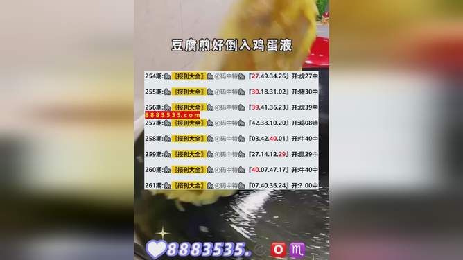 新澳开奖结果解读与占有释义的落实分析