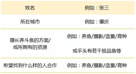 新澳门天天开奖资料大全与顶级释义解释落实