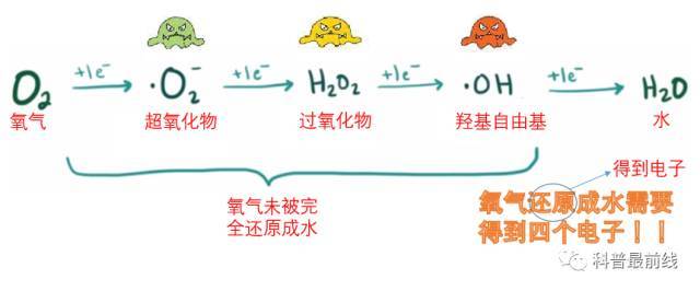 新奥正版资料大全与路线释义解释落实的重要性