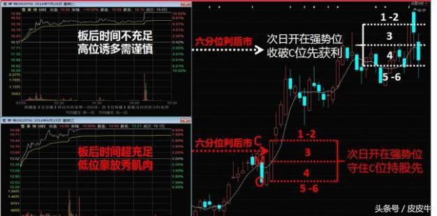 解析一肖一码一中一特，理论释义与实际应用策略