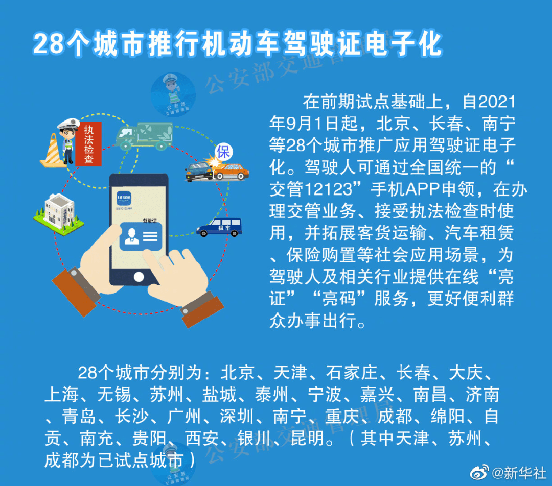 新澳天天开奖资料大全最新，量身释义、深入解释与具体落实