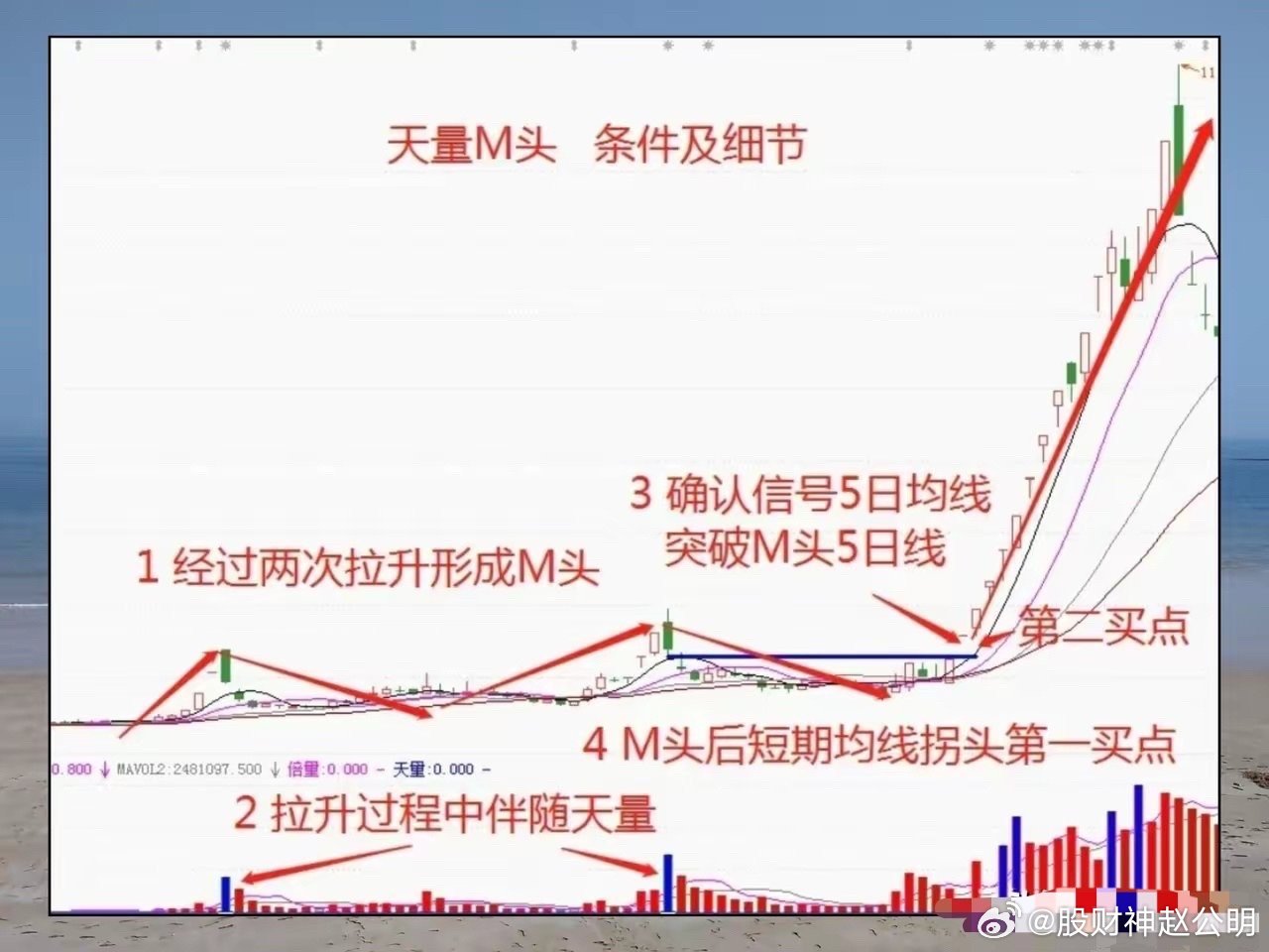 最准一肖一码，揭秘精准预测背后的秘密与落实标杆释义的解释